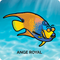 Ange Royal