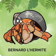 Bernard l'Hermite