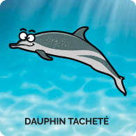 Dauphin Tâcheté