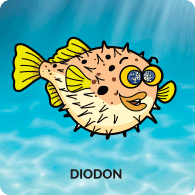 Diodon