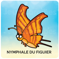 Nymphale du Figuier