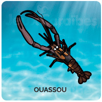 Ouassou