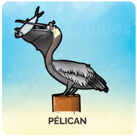 Pélican